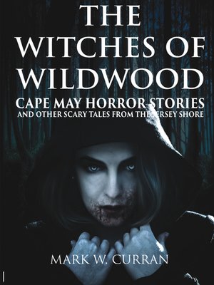 cover image of The Witches of Wildwood